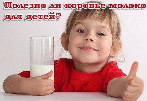 Коровье молоко: опять двадцать пять?..
